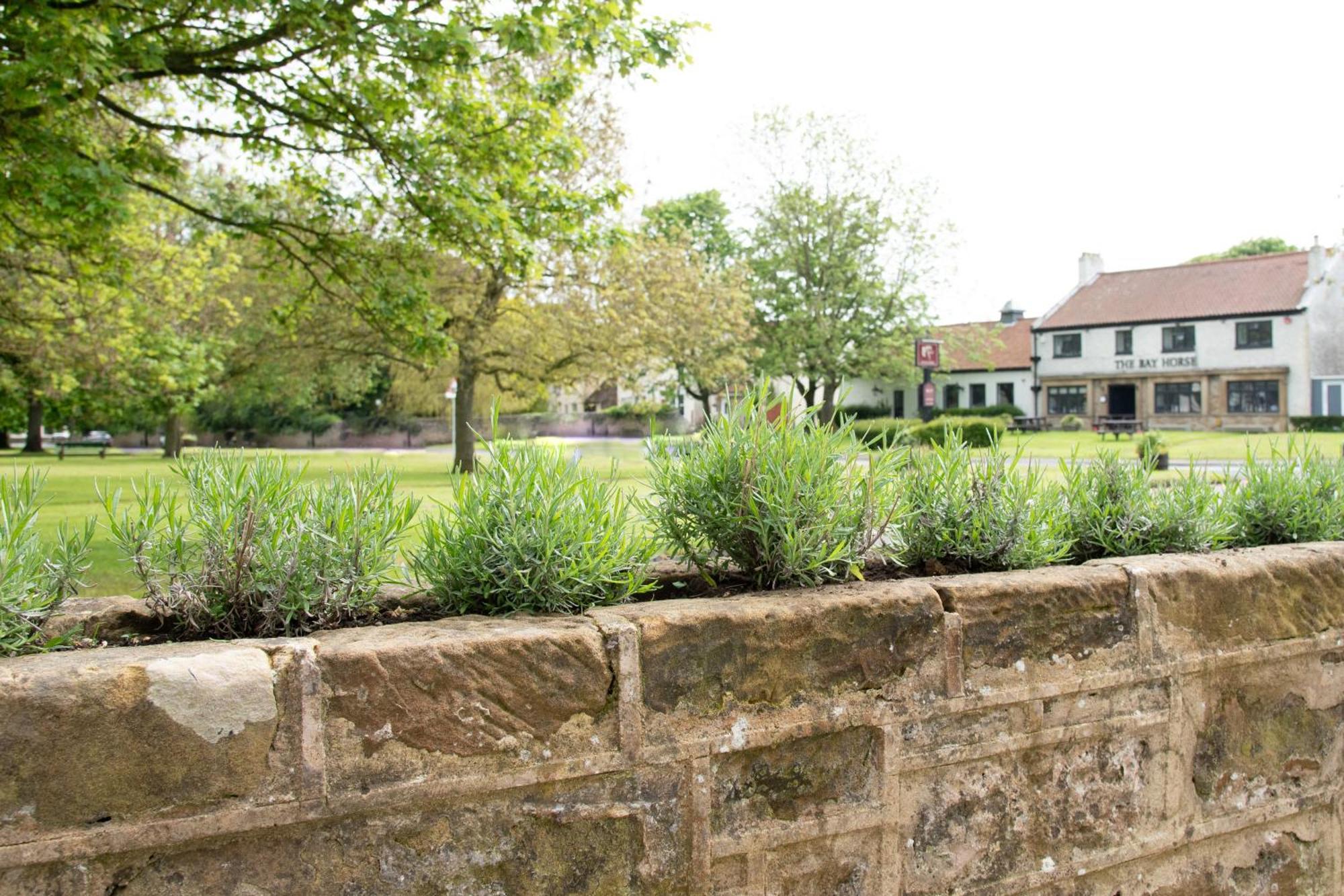 Work And Relax - Fast Wifi, Fireplace & Near Pub Newton Aycliffe Εξωτερικό φωτογραφία